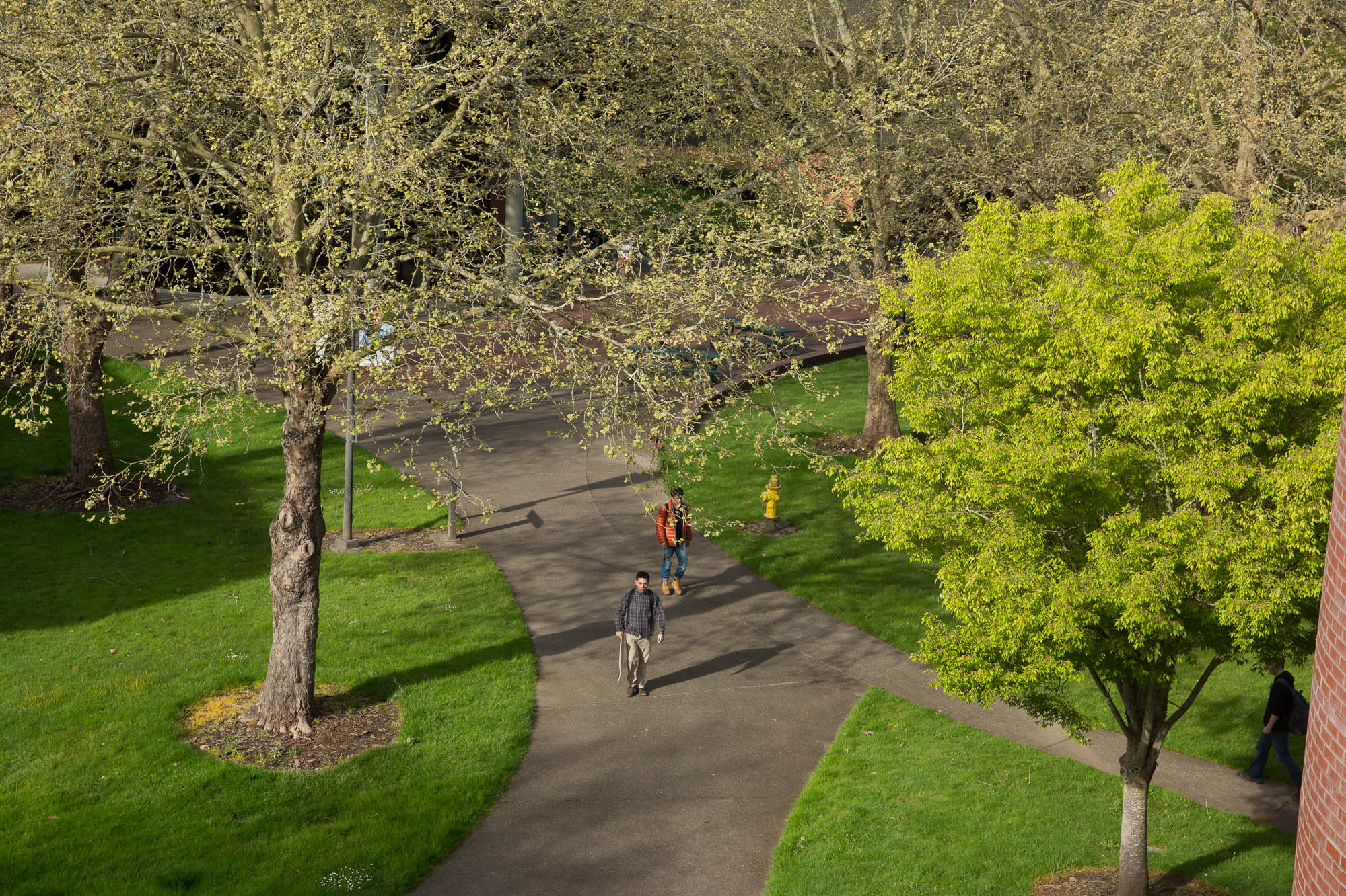 Chemeketa Salem Campus path